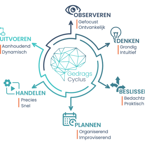 behavioral cycle visual - NL full size